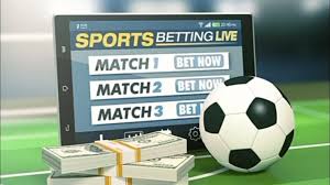 Exploring the Exciting World of Fanos Bet 11