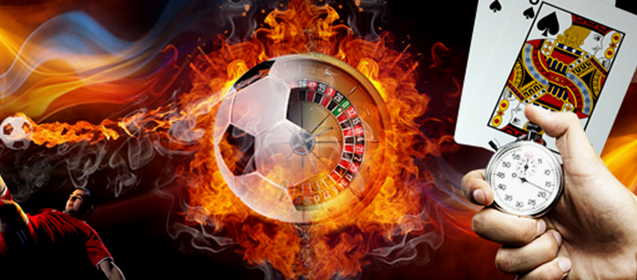 New players get generous bonuses, free spins, and daily rewards. 15