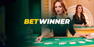 Everything You Need to Know About Apk Betwinner