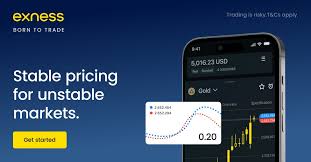 Exploring the Features of Exness MT4 Terminal for Traders