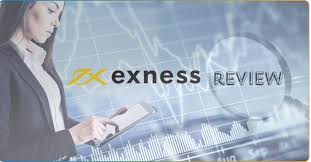 Choosing the Best Account for Exness Your Ultimate Guide