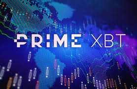 Understanding PrimeXBT Legal Documents for Secure Trading 4